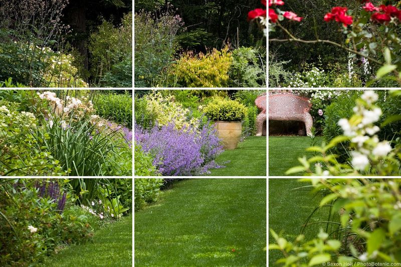 Rule of Thirds