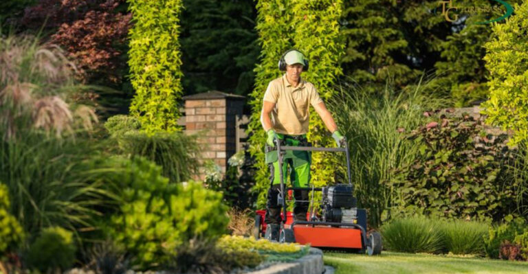 Stop Wrecking Your Lawn with These 15 Common Mistakes