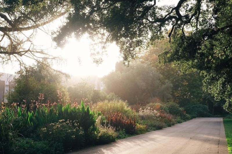 Golden Hour Shooting