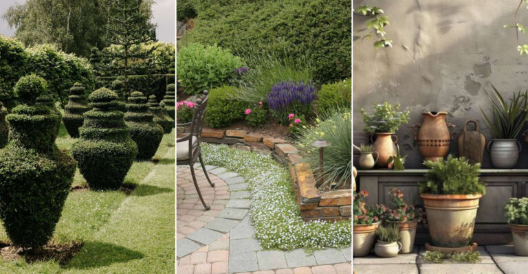 10 Charming Ways to Design a Victorian-Era Flower Garden with a Modern Twist