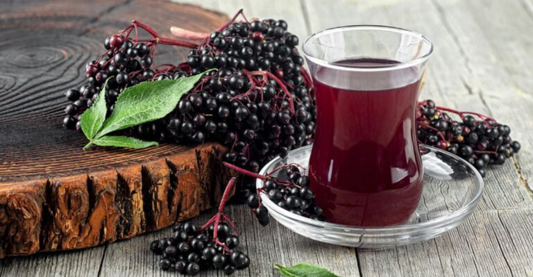 10 Elderberry Benefits That Will Blow Your Mind