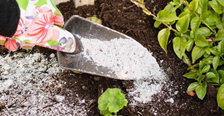 10 Genius Things to Bury in the Garden for Better Soil