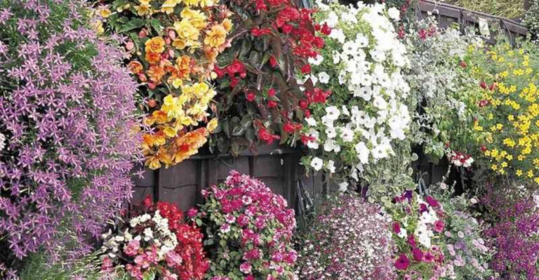 10 Gorgeous Front Yard Ideas That Make a Jaw-Dropping First Impression