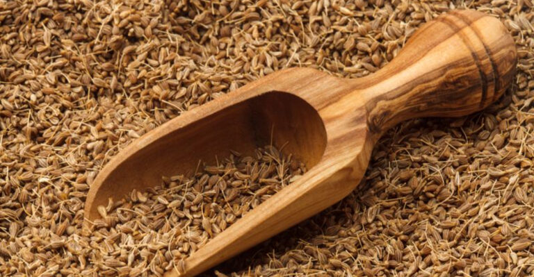 10 Medicinal Herbs Ancient Egyptians Packed Into Royal Tombs