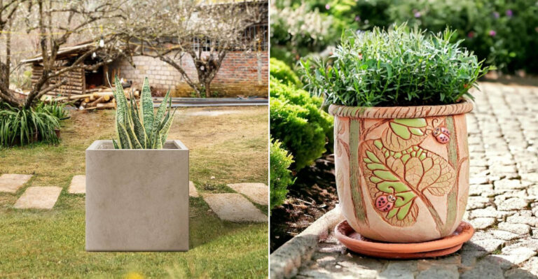 10 Outdated Garden Trends to Skip—and 10 Stylish Upgrades to Try Instead