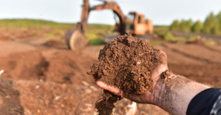 10 Soil Additions That Supercharge Raised Beds and 5 That Will Do the Opposite