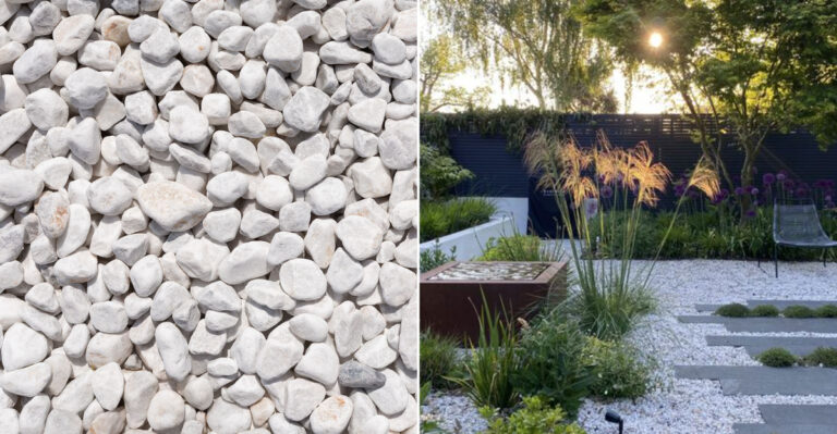 10 Things to Know Before Using White Gravel in Your Yard