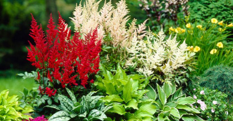 12 Garden Beauties That Weave Perfectly with Your Hostas