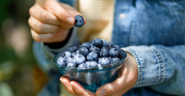 12 Surprising Things That Happen to Your Body If You Eat Blueberries Every Day