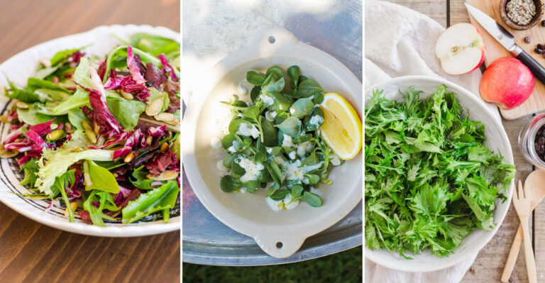 12 Unusual Leafy Greens That Deserve a Spot in Your Salad Bowl