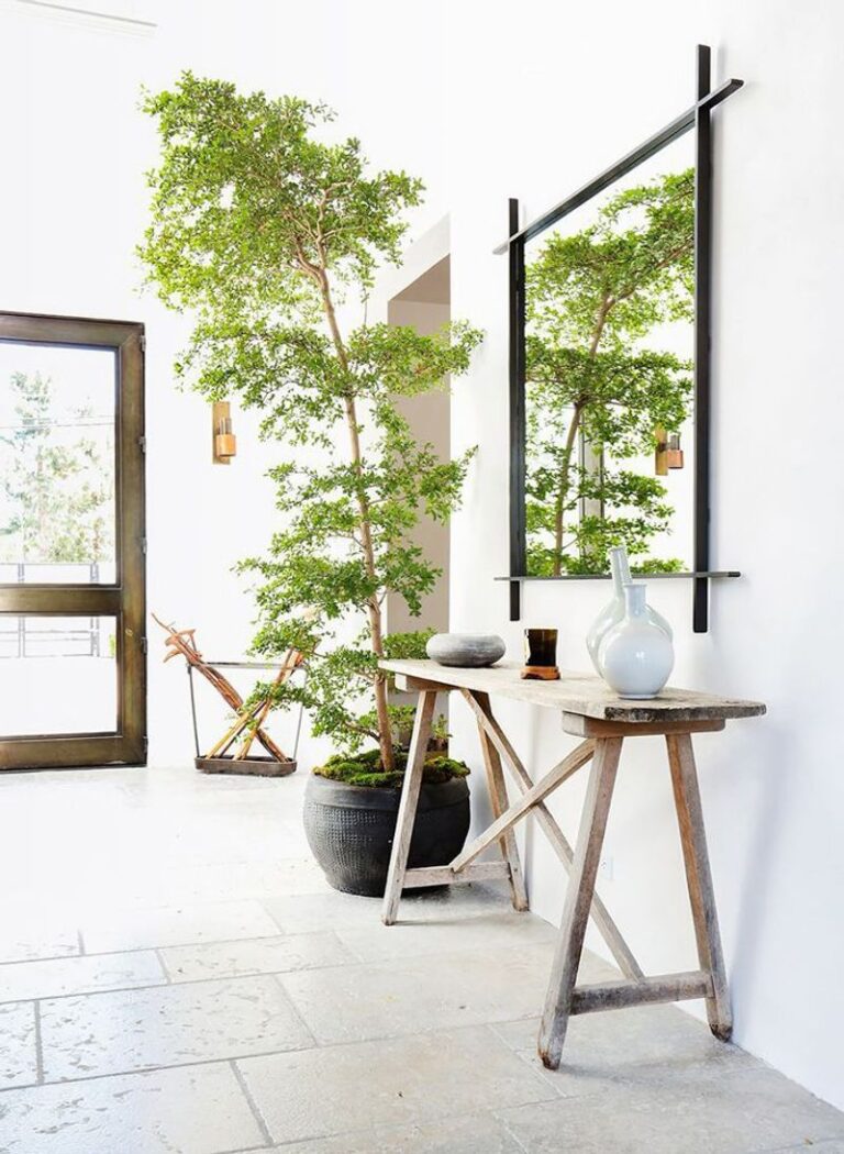 13 Feng Shui Plant Placement Ideas to Boost Harmony and Energy Indoors ...
