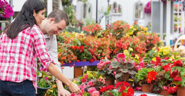 13 Plant-Buying Mistakes Garden Centers Don’t Want You to Know