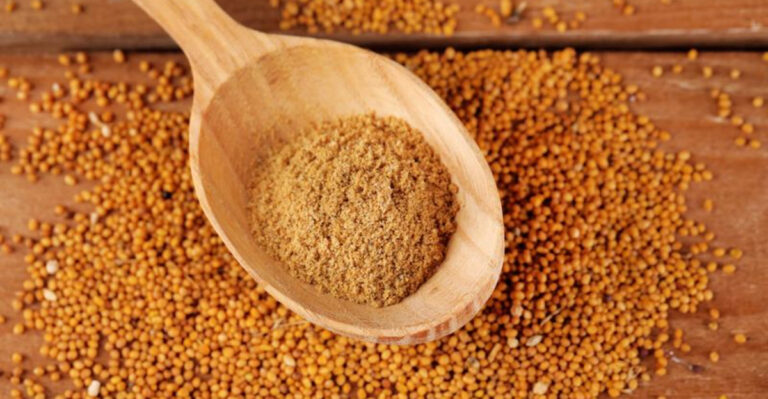 13 Surprising Squirrel Repellents Hiding in Your Kitchen