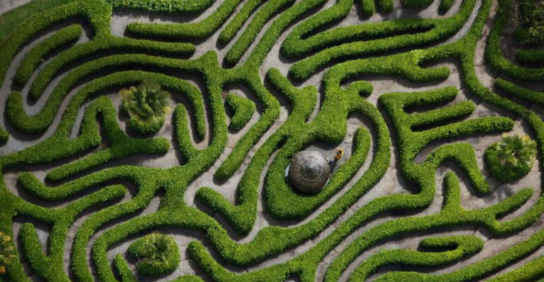14 Mind-Bending Shrubs That Shaped the World’s Most Iconic Labyrinths