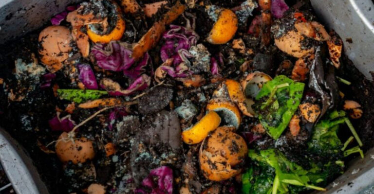 15 Composting Secrets Every Gardener Should Know
