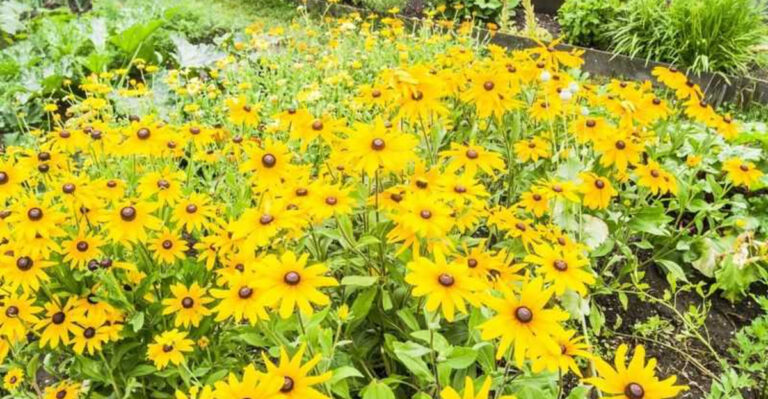 15 Foods People Pretend to Love (But No Gardener Would Grow Twice)