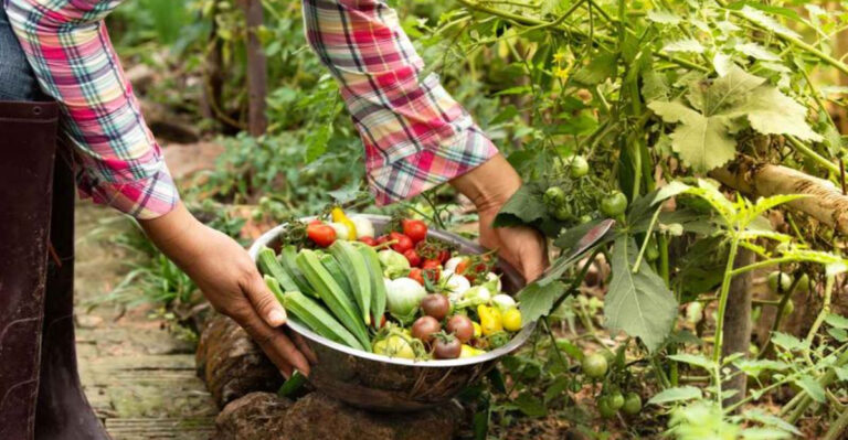 15 Genius Tricks Gardeners Use to Double Their Veggie Harvests