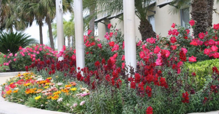 15 Landscaping Trends That Blend Classic Beauty With Modern Vibes