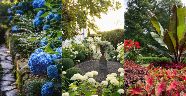 15 Striking Monochrome Garden Ideas to Transform Your Outdoor Space