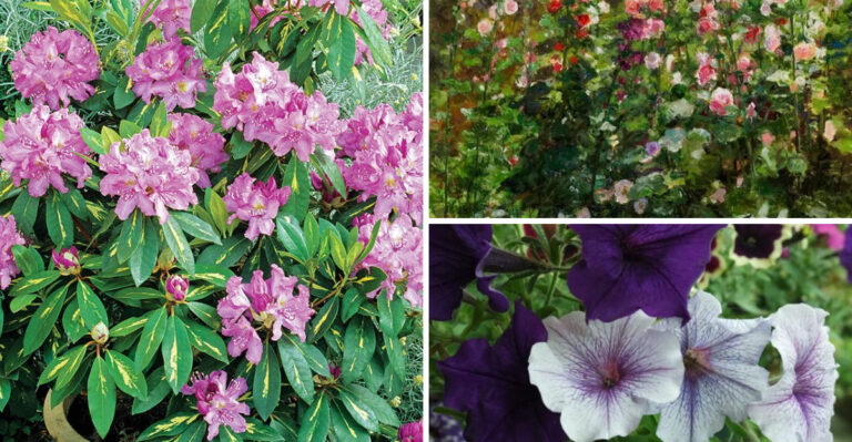 17 Plants Our Parents Grew: A Look Back at 70s and 80s Garden Favorites