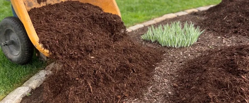 Use Mulch for Instant Curb Appeal