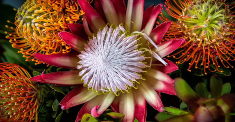 20 Exotic-Looking Flowers That Are Surprisingly Easy to Grow