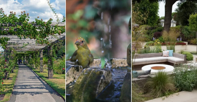 20 Genius Landscaping Tricks That Instantly Make Summer Feel Cooler