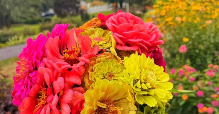 20 Gorgeous Flowers That Bloom Even More When You Cut Them