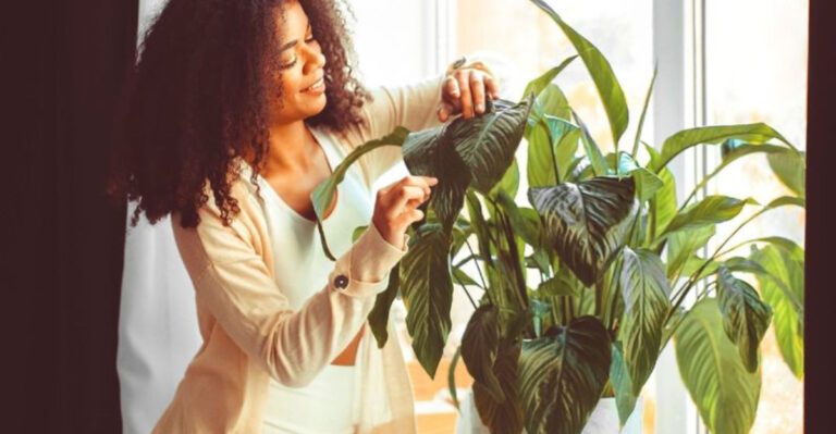 20 Little-Known Plant Care Tips That Make a Huge Difference