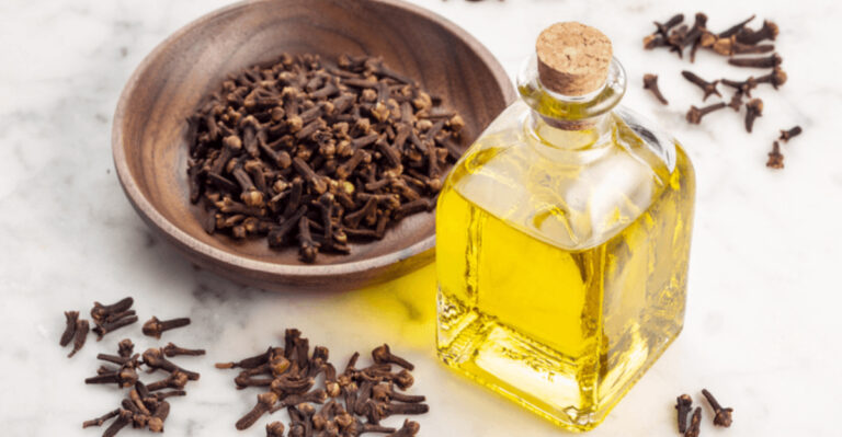 22 Smells Proven to Drive Squirrels, Chipmunks, and Critters Crazy