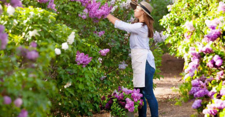 24 Beautiful Flowers That Turn Any Yard Into a Cottage Garden Dream