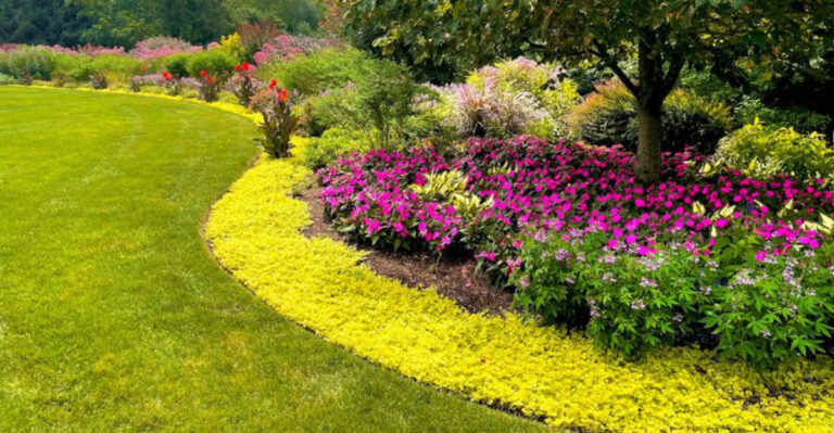 24 Ground Covers That Instantly Upgrade Any Flower Bed