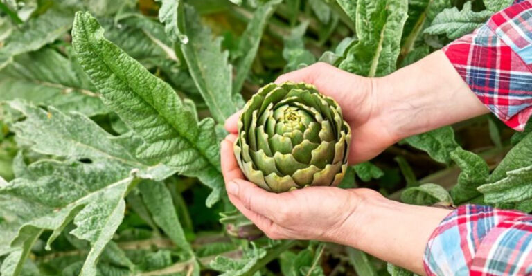 25 Quick Harvest Vegetables for Under 30 Days and 5 That Need Almost No Attention