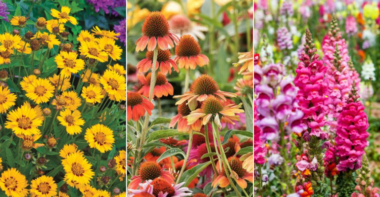 27 Gorgeous Flowers That Thrive in Every Climate Zone