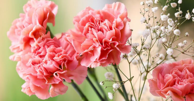 34 Gorgeous Plants That Make Perfect Alternatives to Snapdragons