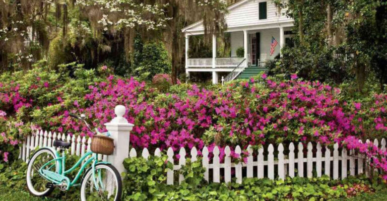 35 Gorgeous Plants That Will Instantly Transform Your Fence Line