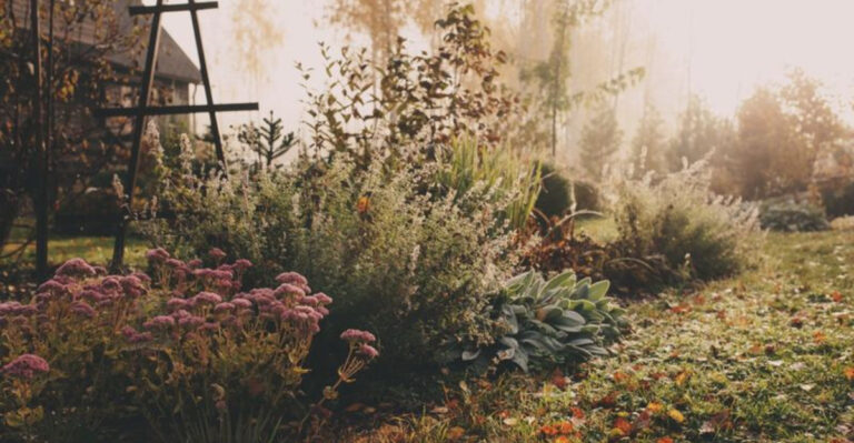 7 Morning Gardening Habits That Work Like Magic and 9 That Spell Disaster
