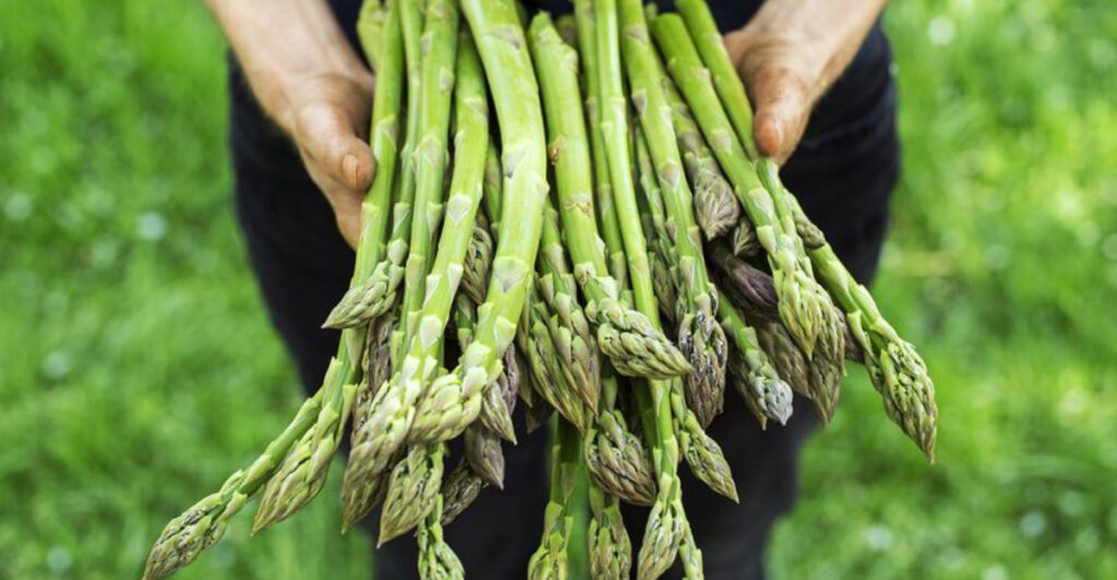 7 Reasons Not to Overeat Asparagus (Even Though It’s Good for You)