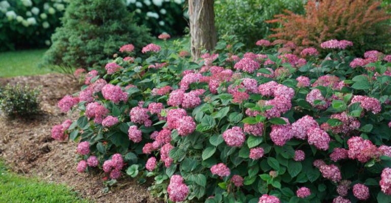 7 Reasons You Should Never Plant Hydrangeas in This One Spot in Your Yard