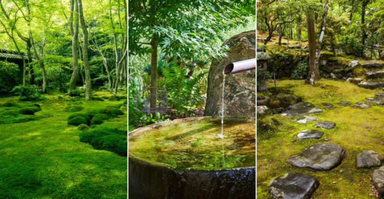 8 Essential Elements for Creating a Peaceful Japanese Meditation Garden in Your Backyard
