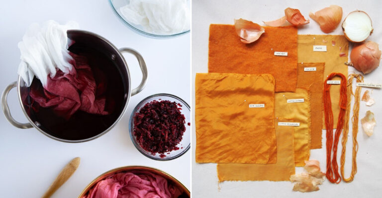 Color Your World: 12 Plants That Naturally Dye Fabric Beautifully