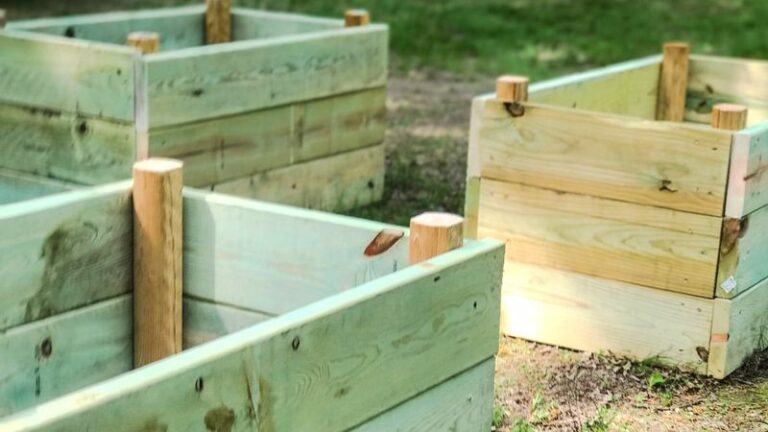 Top 7 Wood Choices for Raised Garden Beds That Last for Years - Complete Gardening