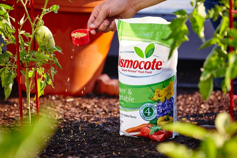 Osmocote Smart-Release Plant Food Flower & Vegetable (14-14-14)
