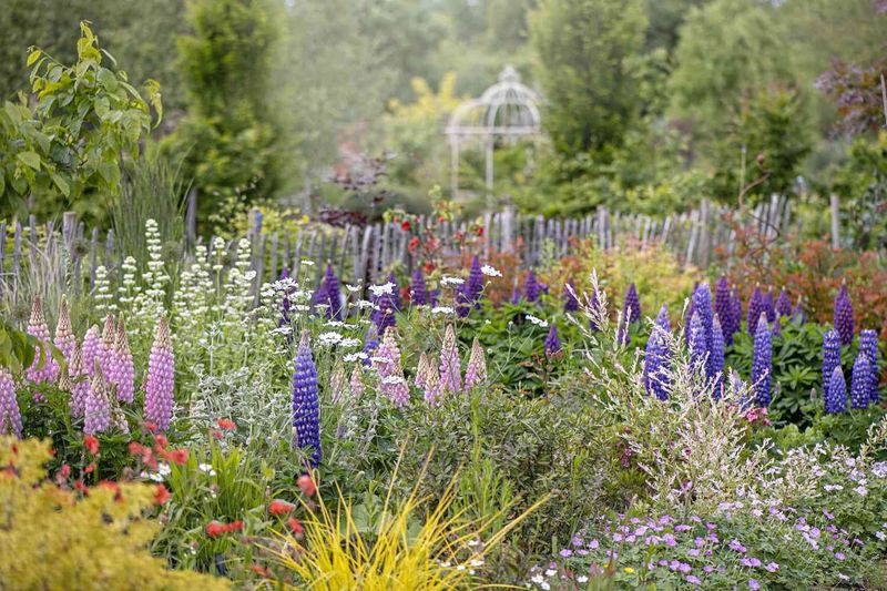 Mix Annuals and Perennials