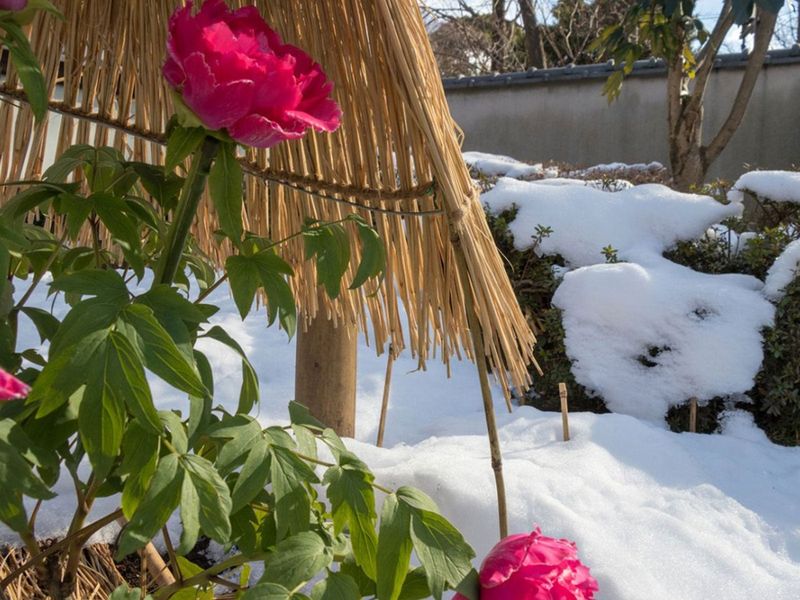 Protect from Harsh Weather