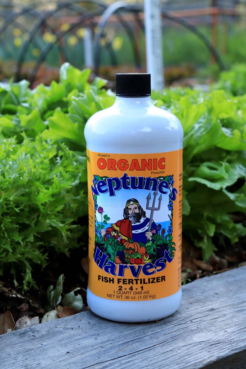 Neptune’s Harvest Organic Hydrolized Fish & Seaweed Fertilizer (2-3-1)