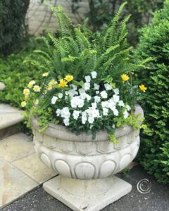25 Foolproof Container Combos That Thrive Anywhere - Complete Gardening