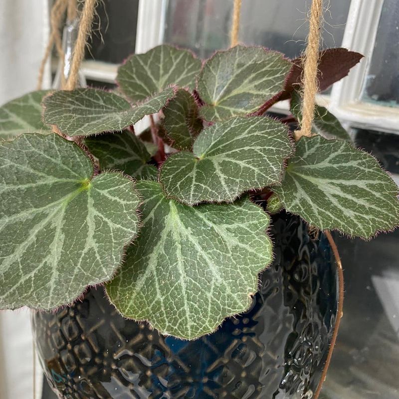 Don’t Skip the Feeding