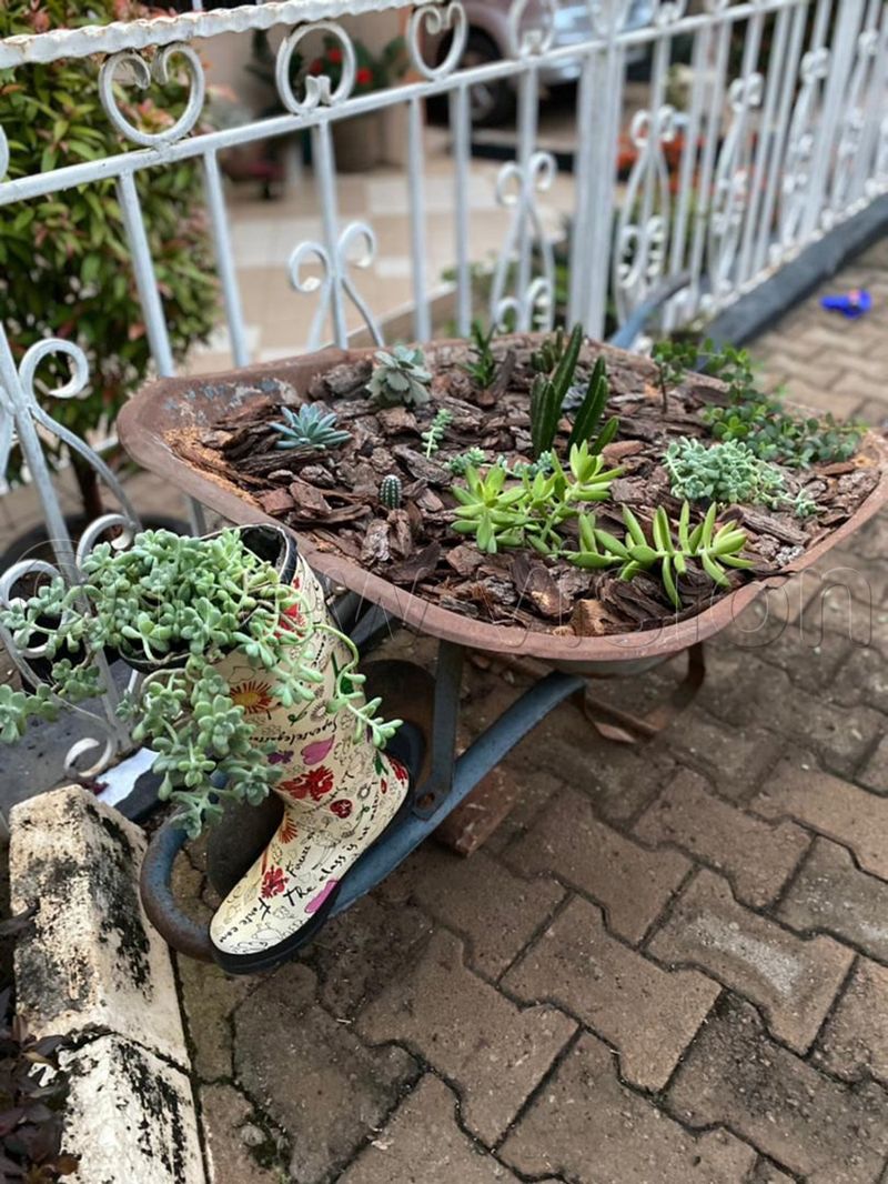 Recycle Old Items as Planters