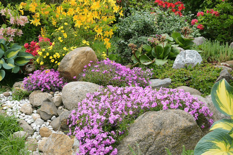 Create a Rock Garden